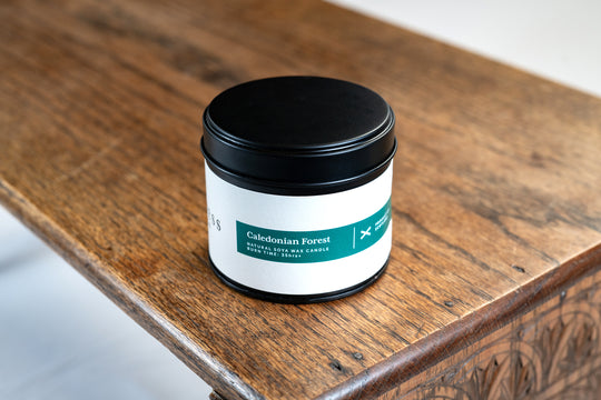 Caledonian Forest - Travel Candle