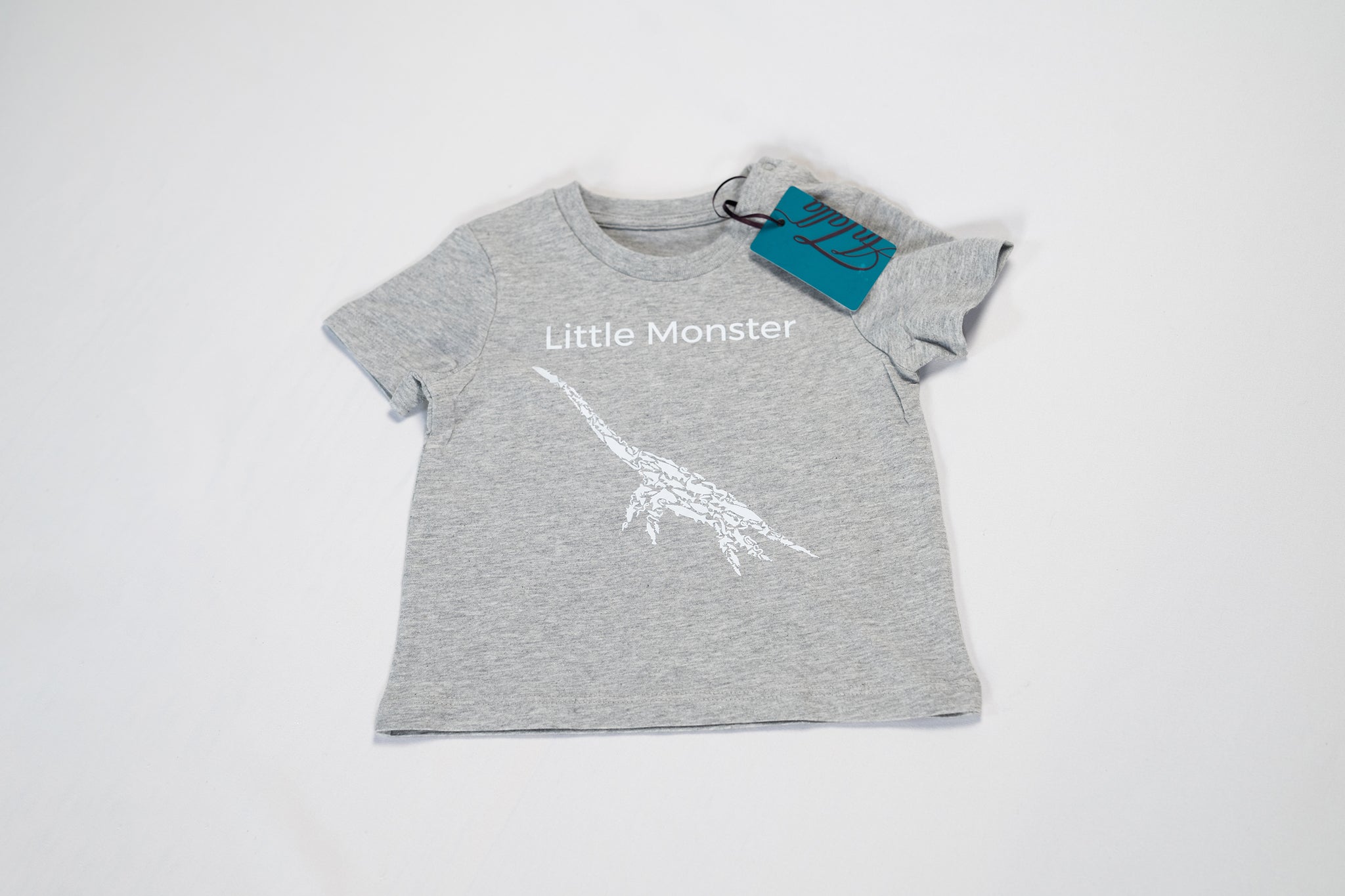 Loch Ness Baby T-shirt grey Scotland